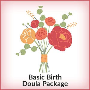 Doula Business Builder Basic Birth Bundle