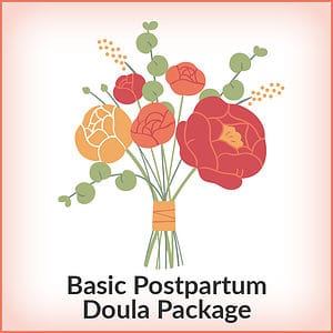Doula Business Builder Basic Postpartum Bundle