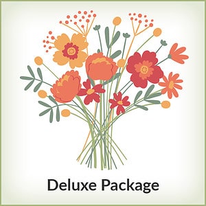 doula business builder deluxe training package
