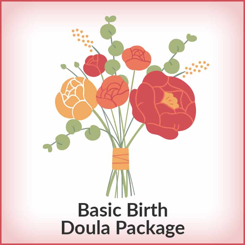 basic birth doula training package