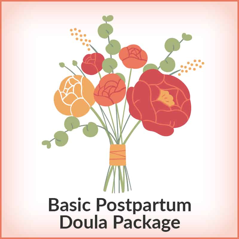 basic postpartum doula training package