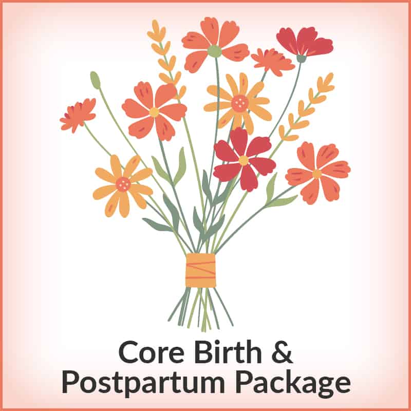 core birth and postpartum doula training