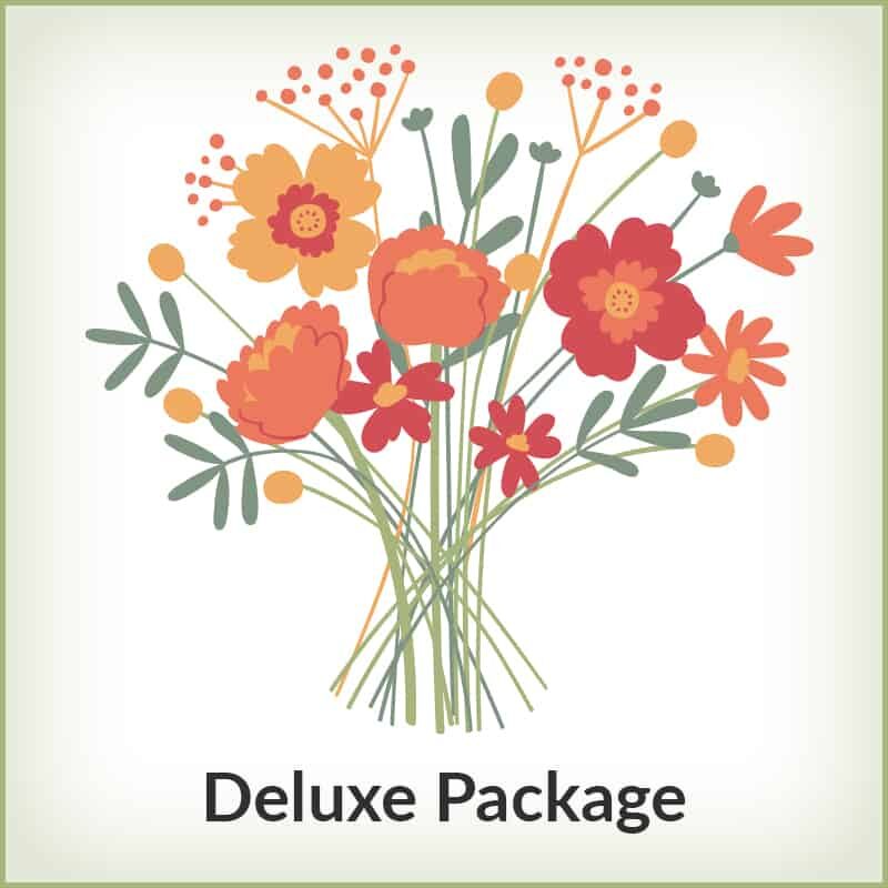 DoulaBusinessBuilder_DeluxePackage